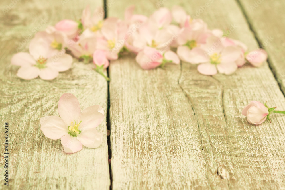 Flowers. Apple tree blossoms on rustic wooden background with copy space for greeting message. Vintage floral background with retro filter effect. Copy space Flowers. Apple tree blossoms on rustic wooden background with copy space for greeting message. Vintage floral background with retro filter effect. Copy space