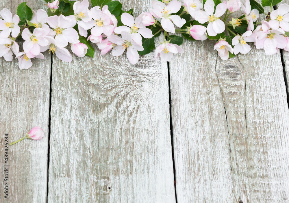 Flowers. Apple tree blossoms on rustic wooden background with copy space  for greeting message. Vintage floral background with purple tone retro  filter effect Stock Photo | Adobe Stock