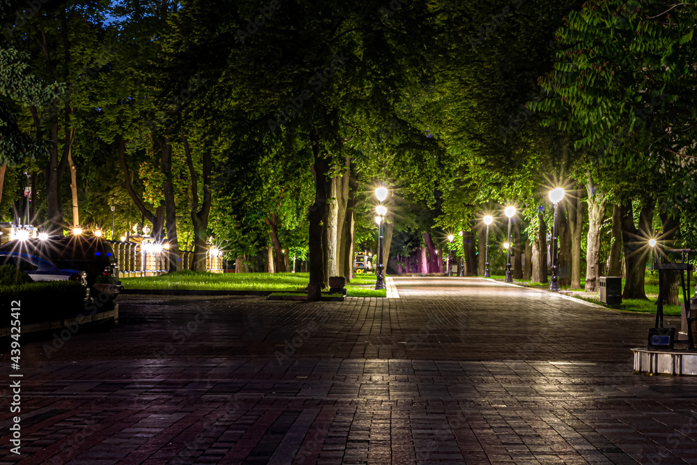 Obraz premium The tiled road in the night green park with lanterns in spring. A benches in the park during the spring season at night. Illumination of a park road with lanterns at night. Mariinsky Park. Ukraine