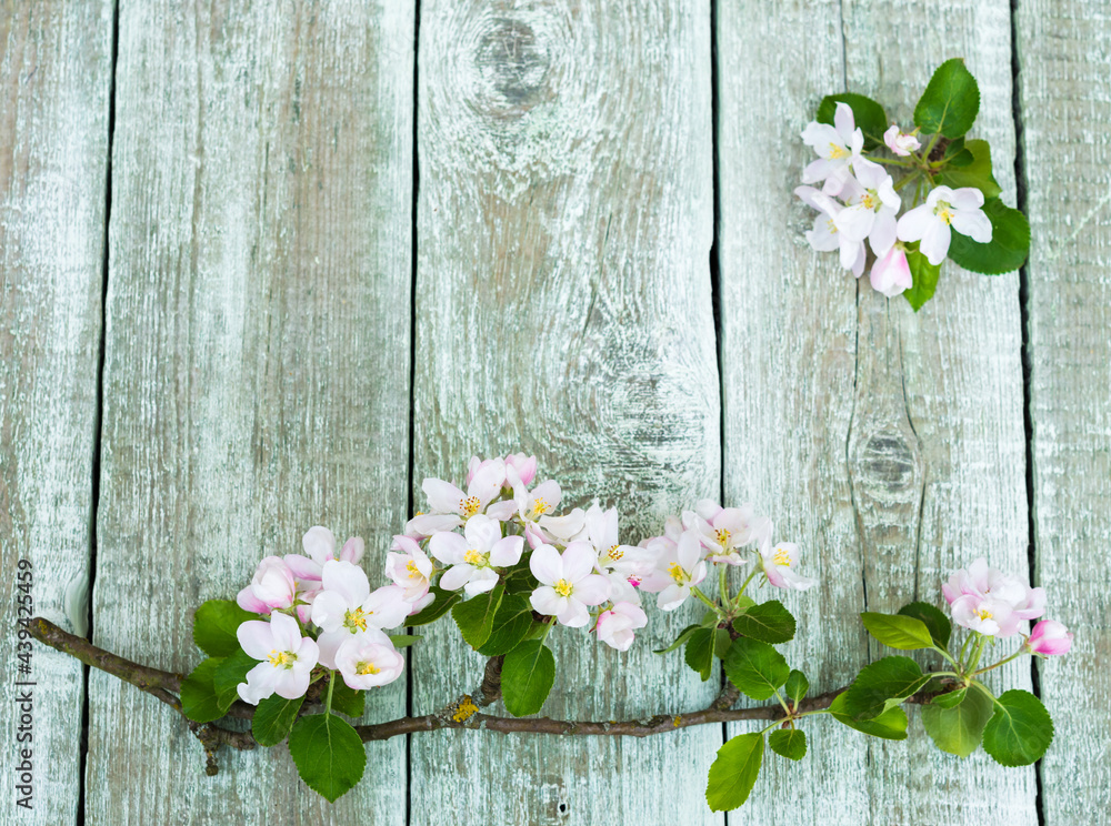 Flowers. Apple tree blossoms on rustic wooden background with copy space for greeting message. Vintage floral background with purple tone retro filter effect Flowers. Apple tree blossoms on rustic wooden background with copy space for greeting message. Vintage floral background with purple tone retro filter effect