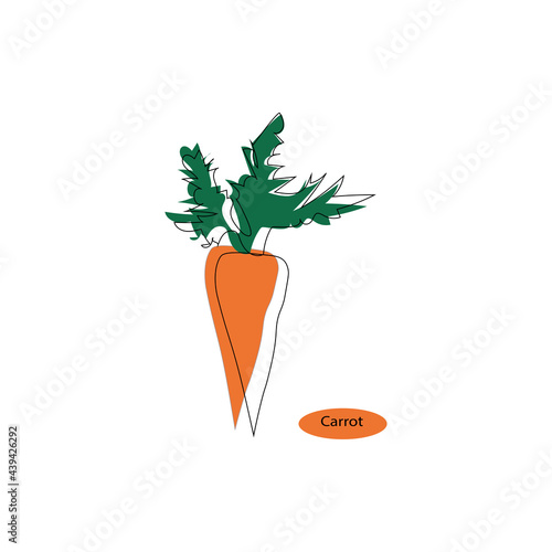 Carrot abstract. Floral and herbal ornament hand drawn designs. Leaves and carrot  nature doodle.