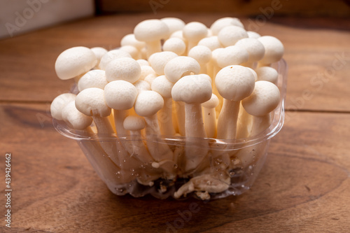 Shimeji edible mushrooms native to East Asia, buna-shimeji is widely cultivated and rich in umami tasting compounds