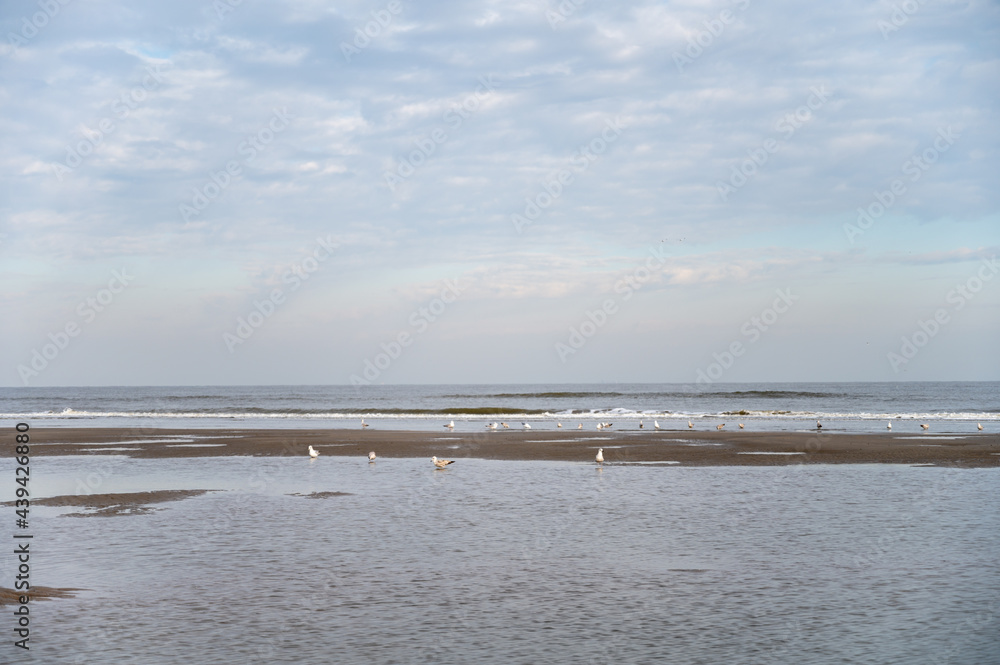 Low tide period on yellow sandy beach in small Belgian town De Haan or Le Coq sur mer, luxury vacation destination, summer holidays