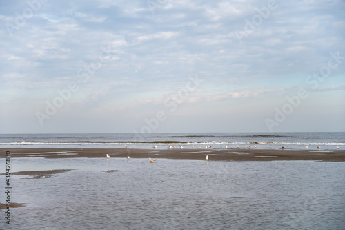 Low tide period on yellow sandy beach in small Belgian town De Haan or Le Coq sur mer, luxury vacation destination, summer holidays