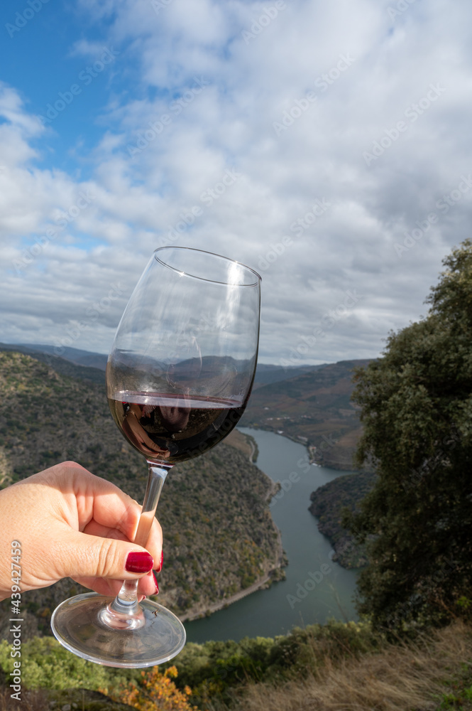 Hand with glass, tasting of Portuguese red dry wine, produced in Douro Valley and Douro river and terraced vineyards on background in autumn, Portugal