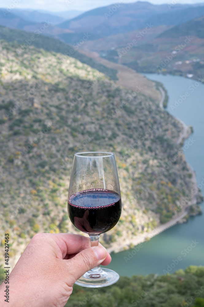 Hand with glass of fortified port wine, produced in Douro Valley and Douro river with colorful terraced vineyards on background in autumn, Portugal
