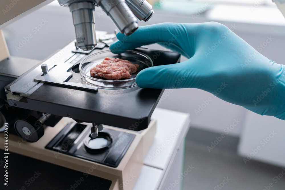 Anonymous Scientist Analysing Meat Sample Anonymous Scientist Analysing Meat Sample