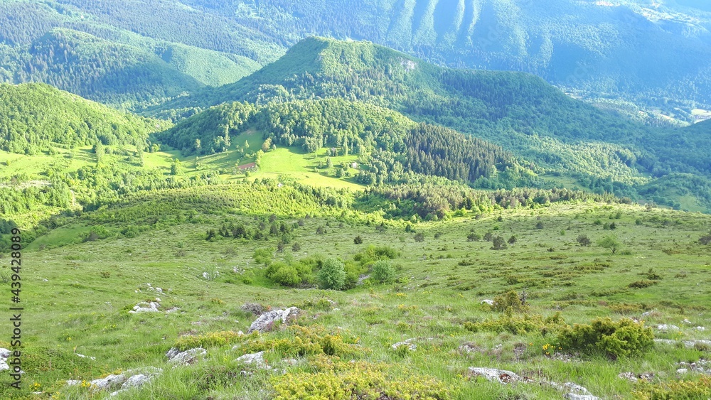 Steep slope and coniferous forest on mountain Trebevic, Sarajevo, Bosnia and Herzegovina