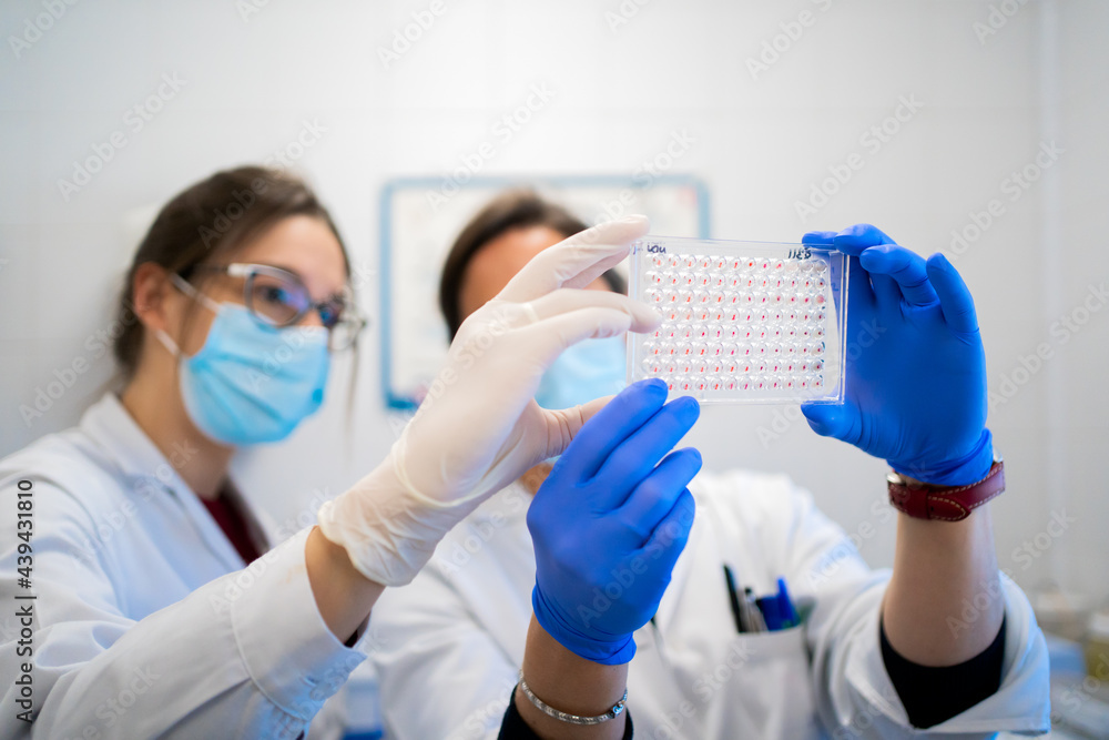 Science Research In A Lab Science Research In A Lab