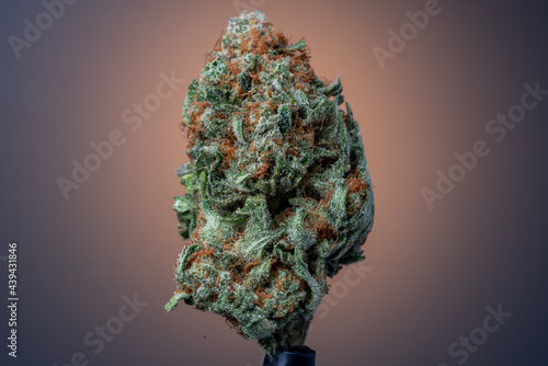 Cannabis Flower Macro - Strain: Green Crack