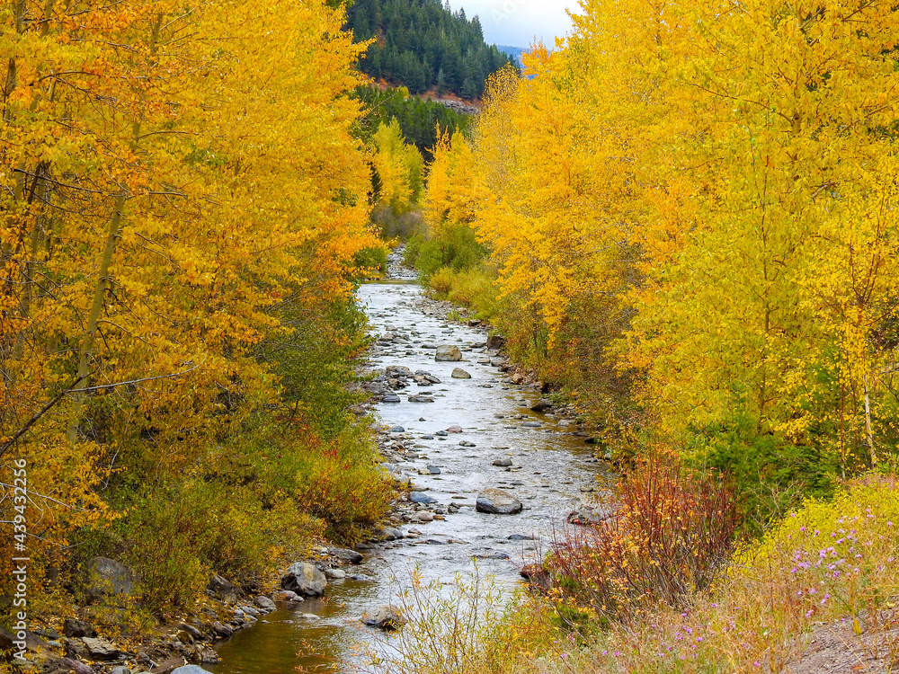 Autumn river scene in  Montana