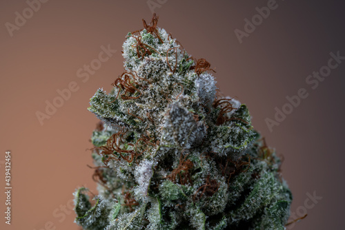 Cannabis Flower Macro - Strain: SG 24k