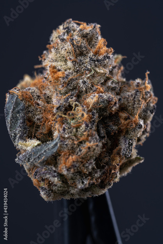 Cannabis Flower Macro - Strain: Cereal Milk