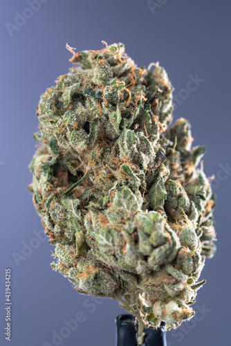 Cannabis Flower Macro - Strain: Garlic Breath