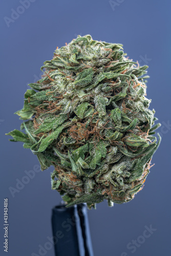 Cannabis Flower Macro - Strain: White Widow