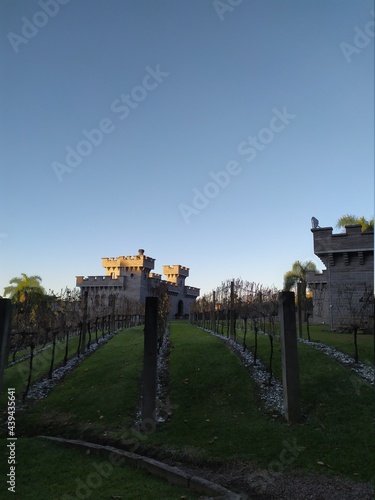 Vine Castle © Lucas