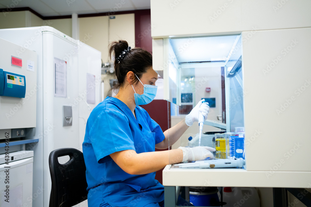 Science Research In A Laboratory. Science Research In A Laboratory.