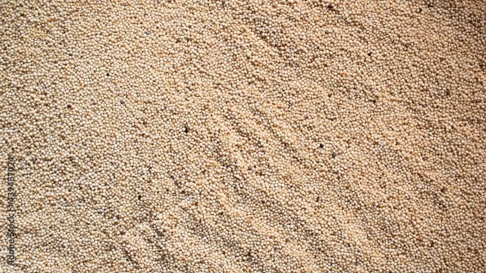 Raw whole dried Amaranth seeds Raw whole dried Amaranth seeds
