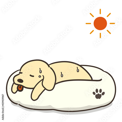体調不良の犬と太陽　熱中症