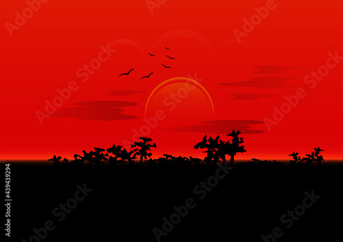 sunset in the desert