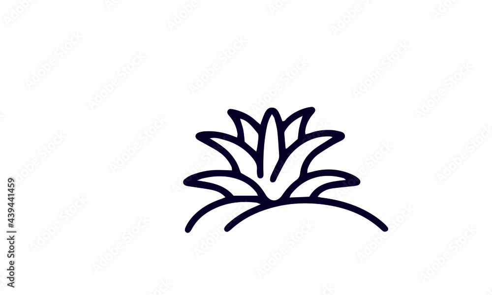 Cactus icon set vector design Cactus icon set vector design