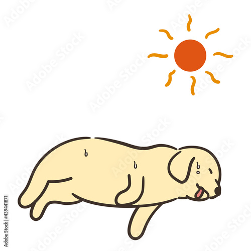 体調不良の犬と太陽　熱中症