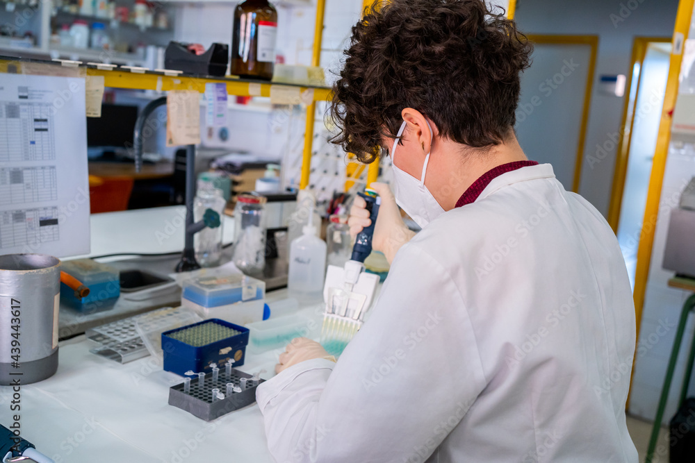 Science Research In A Laboratory. Science Research In A Laboratory.