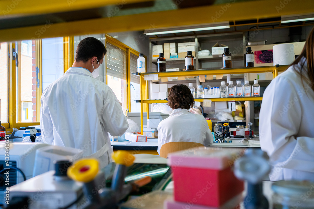 Science Research In A Laboratory. Science Research In A Laboratory.