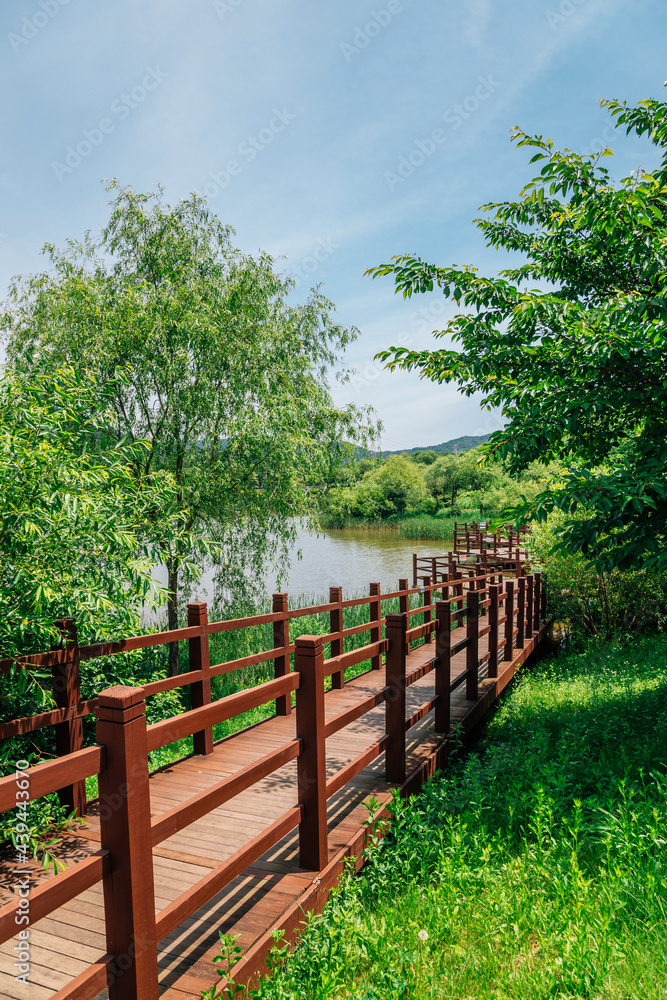 Lake and forest trail at Incheon Grand Park in Korea