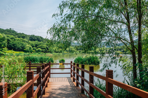 Lake and forest trail at Incheon Grand Park in Korea