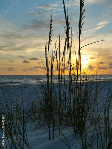 Coastal Florida Sea Grass and Dusk