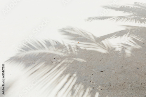 Shadow of palm trees on white sand photo