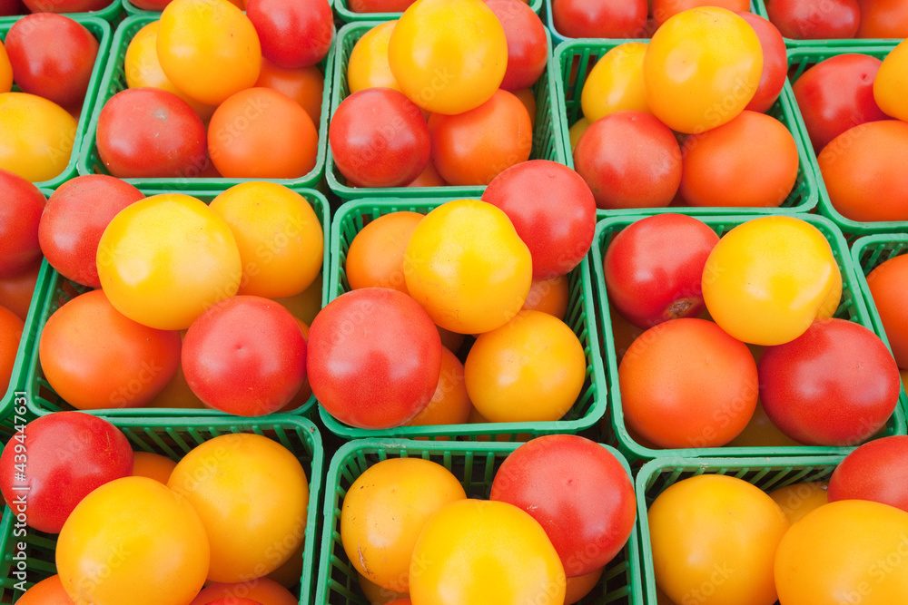 TOMATOES TOMATOES