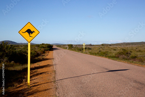 Iconic Australian Kangaroo Road Sign photo