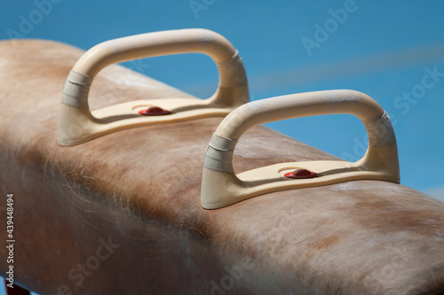 Gymnastics Pommel Horse