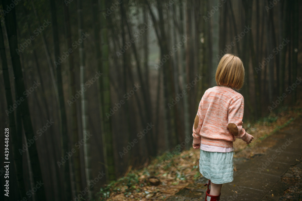 Little Girl Walking in a Bamboo Forest Little Girl Walking in a Bamboo Forest