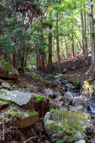 Hatsutani valley in Mount Myoken in Osaka, Japan