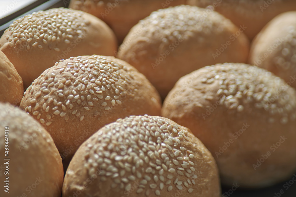 many baked sesame topping burger breads lay on oven tray waiting for cooking, shot with shallow focusing and tilted lens effect for background wallpaper.