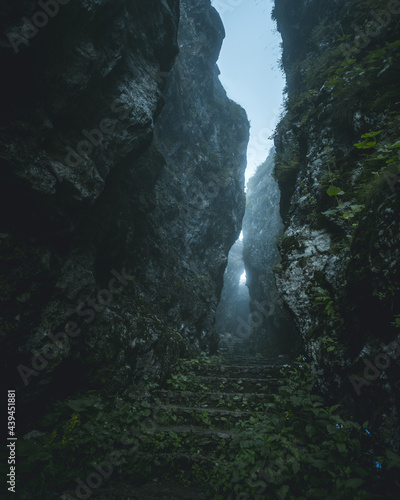 Mysterious gorge photo