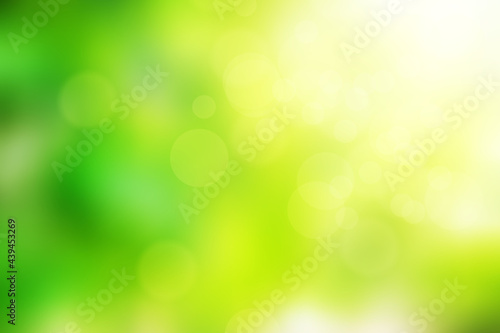 Abstract blurred bokeh background image of light green foliage