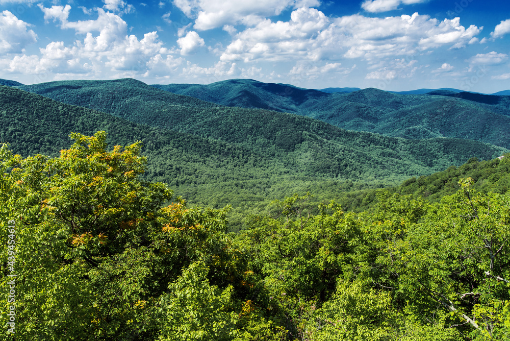 View of Blue Ridge Mountains  in Shenandoah National Park . Appalachian Mountains . Virginia, USA,