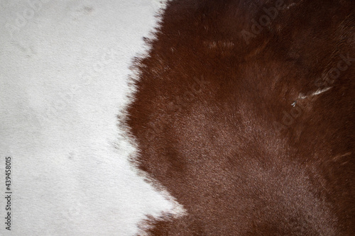 Horse hide photo