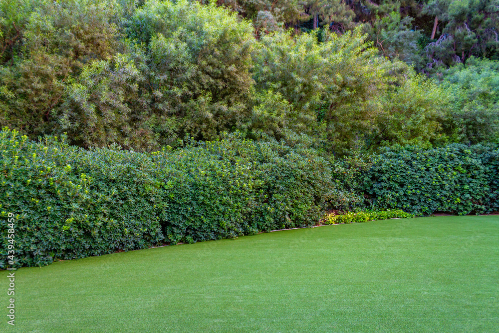 Obraz premium Garden area with artificial grass and shrubs and trees
