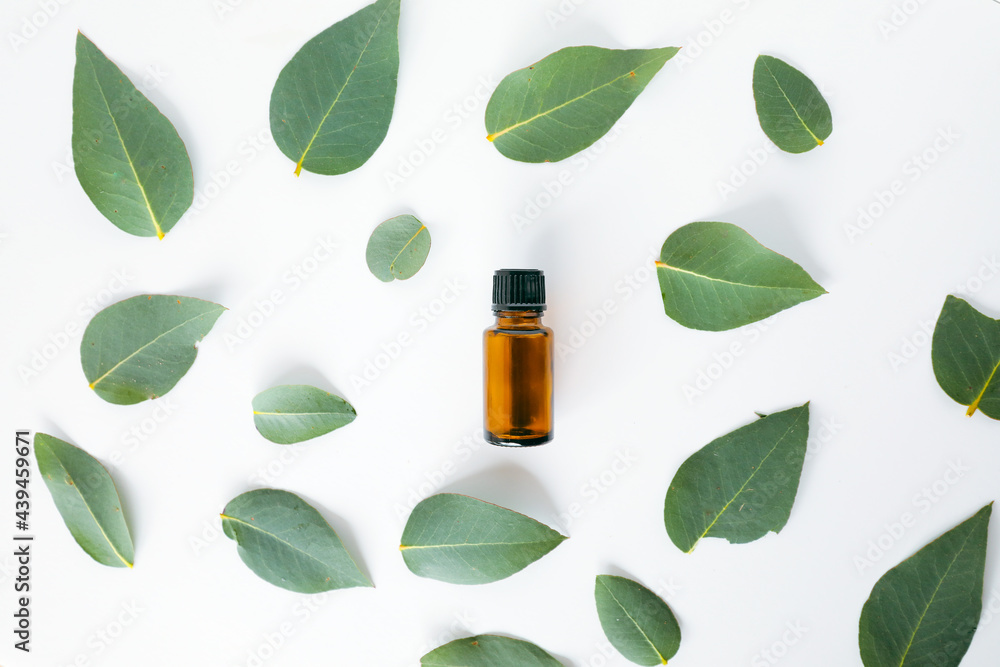 Flat lay image of amber essential oil bottle sitting of clump of eucalyptus gum leaves Flat lay image of amber essential oil bottle sitting of clump of eucalyptus gum leaves