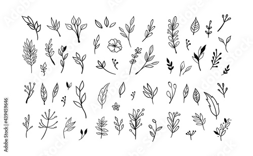 Floral and herbal ornament hand drawn designs. Leaves and branches nature doodles.