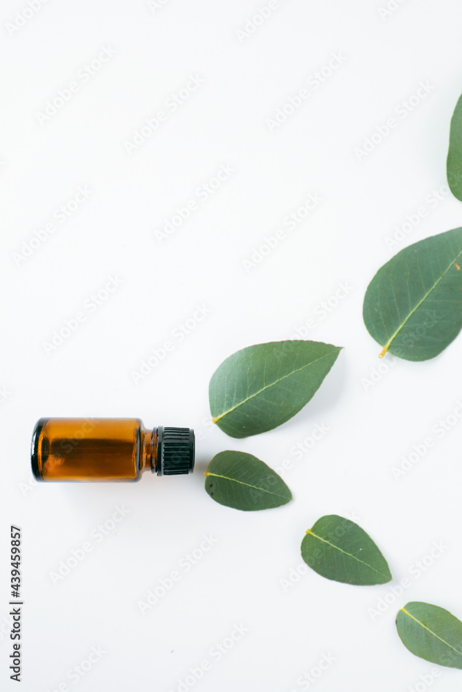 Flay lay image featuring amber essential oil bottle with eucalyptus leaves Flay lay image featuring amber essential oil bottle with eucalyptus leaves