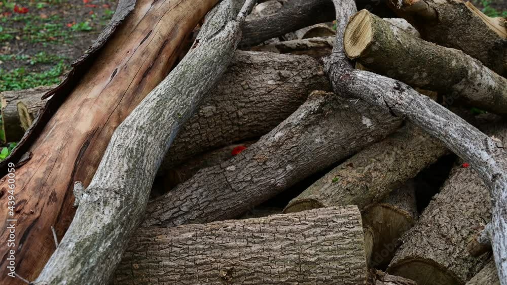 Stack of a woodpile in the countryside. Wooden environment material. Stack of a woodpile in the countryside. Wooden environment material.