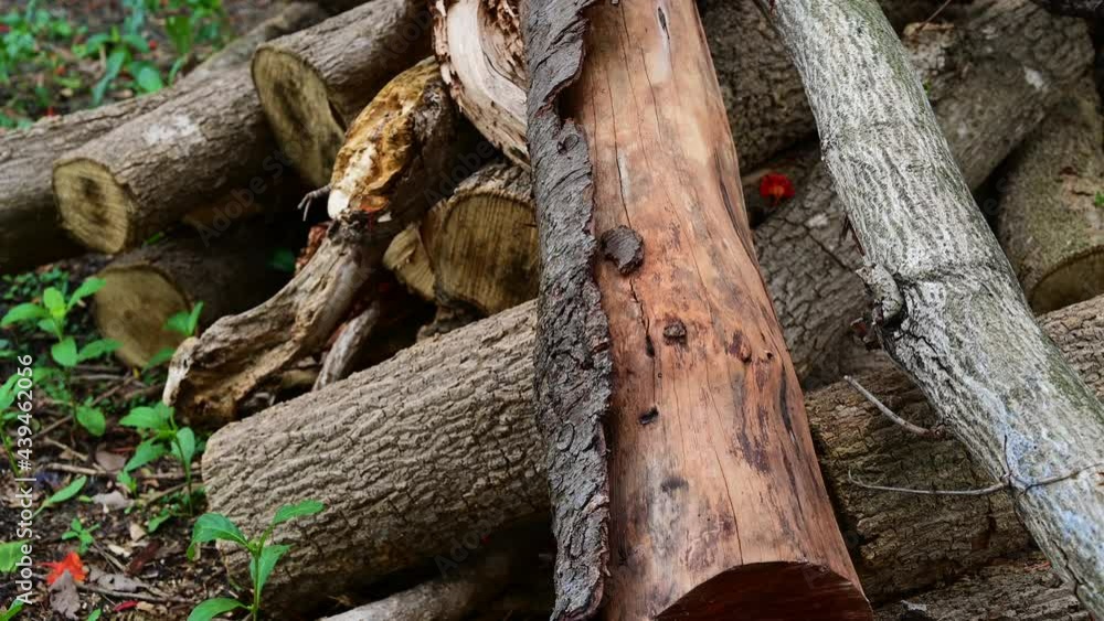 Stack of a woodpile in the countryside. Wooden environment material. Stack of a woodpile in the countryside. Wooden environment material.