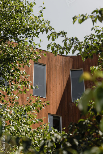 modern wood building nestled in green trees