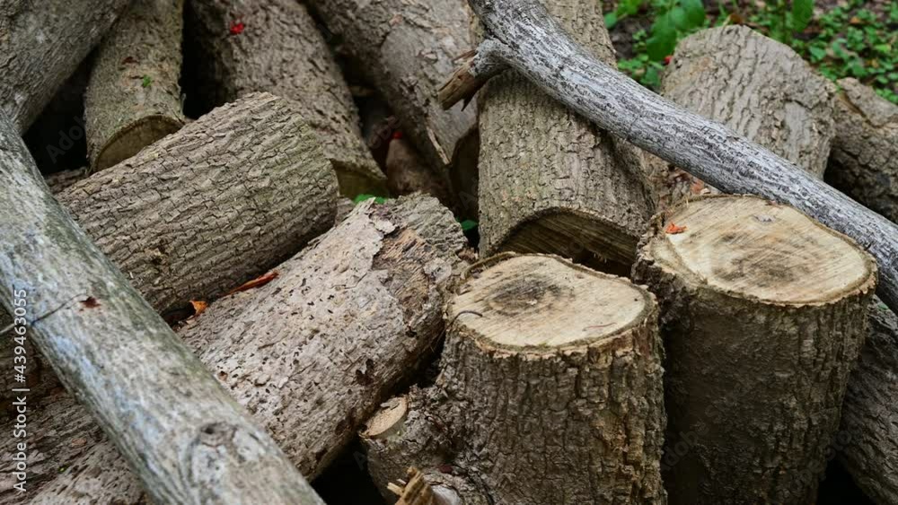 Stack of a woodpile in the countryside. Wooden environment material. Stack of a woodpile in the countryside. Wooden environment material.